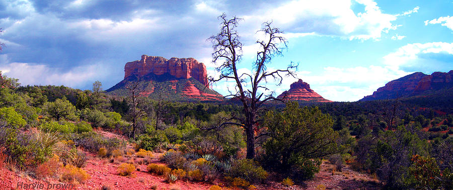 Bell Rock Panorama Photograph by Harvie Brown