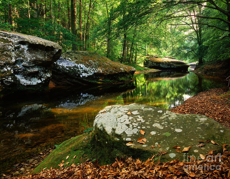 Summer Photograph - Bell Smith Springs, Illinois by Willard Clay