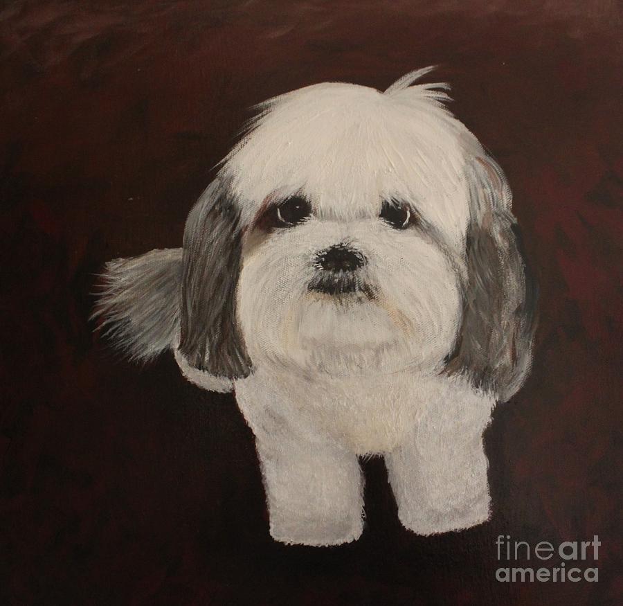 Bella Cavoodle Painting by Suzanne Hickey - Pixels