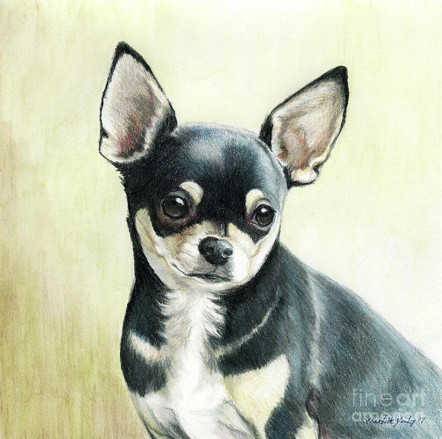 Dog Painting - Bella by Charlotte Yealey