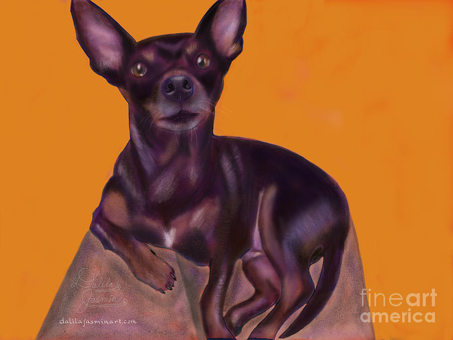 Dog Digital Art - Bella by Dalila Jasmin Dog Digital Art - Bella by Dalila Jasmin