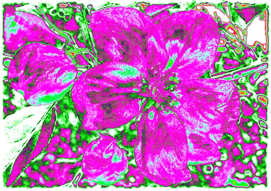 Bella Flora 2 Digital Art by Will Borden