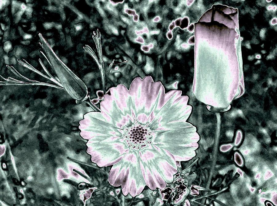 Bella Flora 3 Digital Art by Will Borden