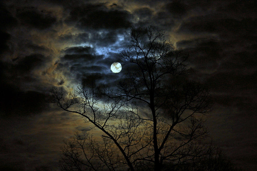 Full Moon Photograph - Bella Luna by Suzanne Stout