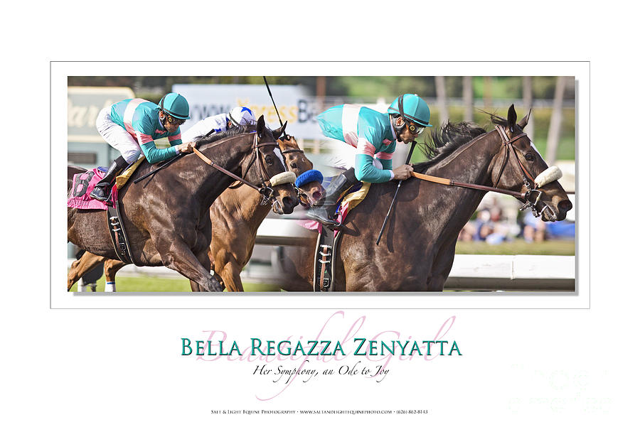 Horse Photograph - Bella Regazza Zenyatta by Anthony Andrews