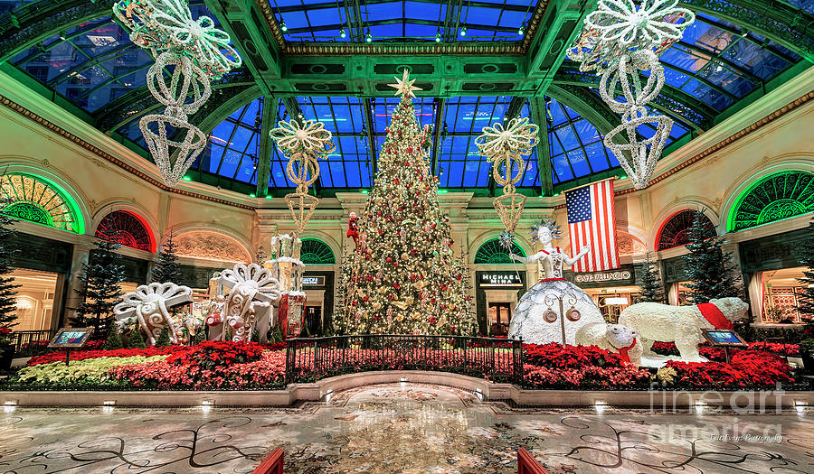 Las Vegas Photograph - Bellagio Christmas Tree Wide at Dawn 2017 6 to 3.5 Ratio by Aloha Art
