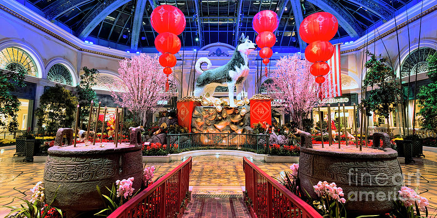 Bellagio Conservatory Chinese New Year of the Dog From the Walkway 2 to 1 Ratio Photograph by Aloha Art