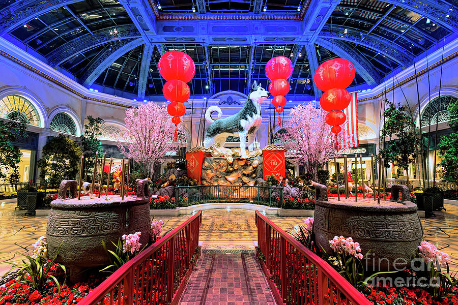 Bellagio Conservatory Chinese New Year of the Dog From the Walkway Photograph by Aloha Art