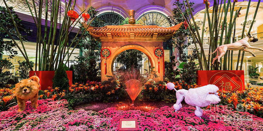 Las Vegas Photograph - Bellagio Conservatory Chinese New Year of the Dog Moon Gate 2 to 1 Ratio by Aloha Art