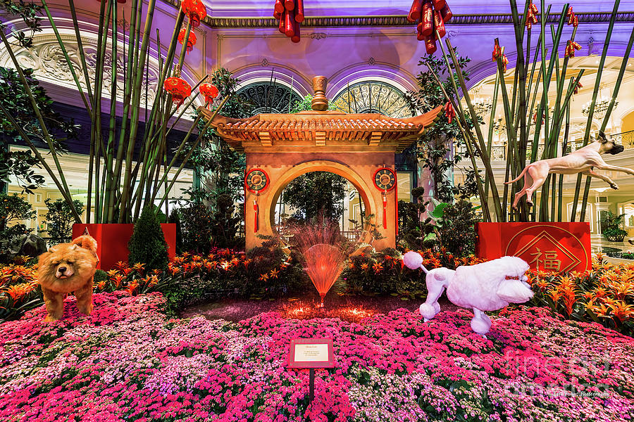 Las Vegas Photograph - Bellagio Conservatory Chinese New Year of the Dog Moon Gate by Aloha Art