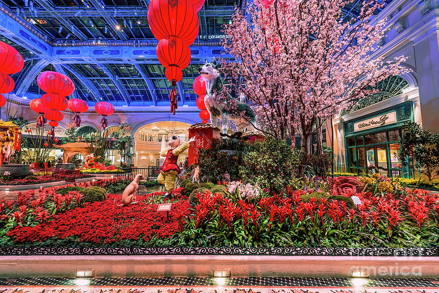 Las Vegas Photograph - Bellagio Conservatory Chinese New Year of the Dog Side Shot by Aloha Art