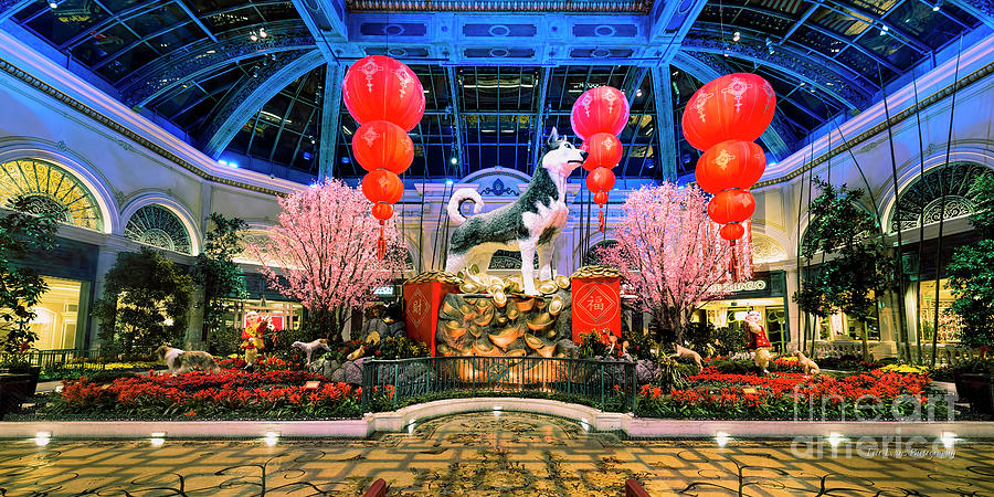 Bellagio Conservatory Chinese New Year of the Dog Ultra Wide 2 to 1 Ratio Photograph by Aloha Art