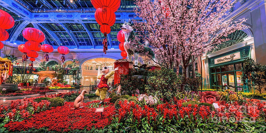 Las Vegas Photograph - Bellagio Conservatory Chinese New Year of the Side Shot 2 to 1 Ratio by Aloha Art