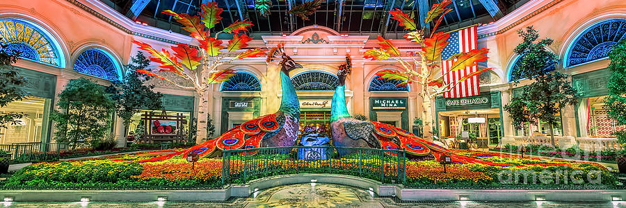 Las Vegas Photograph - Bellagio Conservatory Fall Peacock Display Panorama 3 to 1 Ratio by Aloha Art