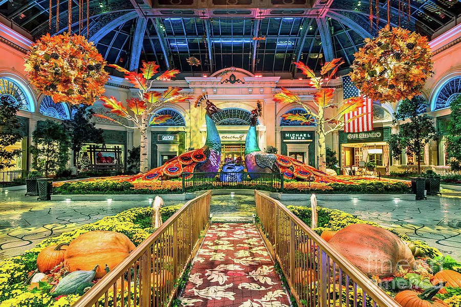 Las Vegas Photograph - Bellagio Conservatory Fall Peacock Display Ultra Wide 2017  by Aloha Art