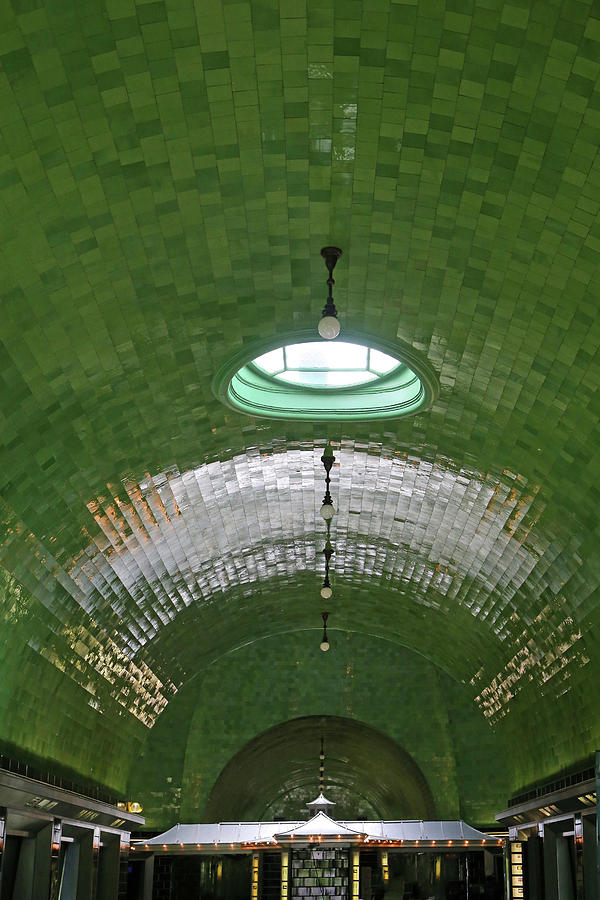 Belle Isle Aquarium Ceiling 2 Photograph by Mary Bedy
