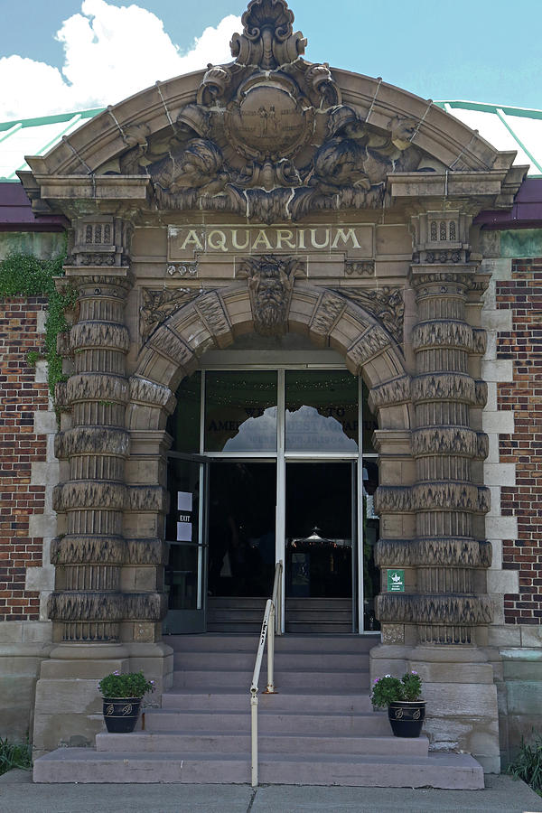 Belle Isle Aquarium Photograph by Mary Bedy