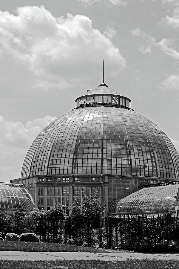 Belle Isle Conservatory 1 BW Photograph by Mary Bedy