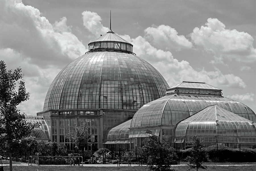 Belle Isle Conservatory 2 BW Photograph by Mary Bedy