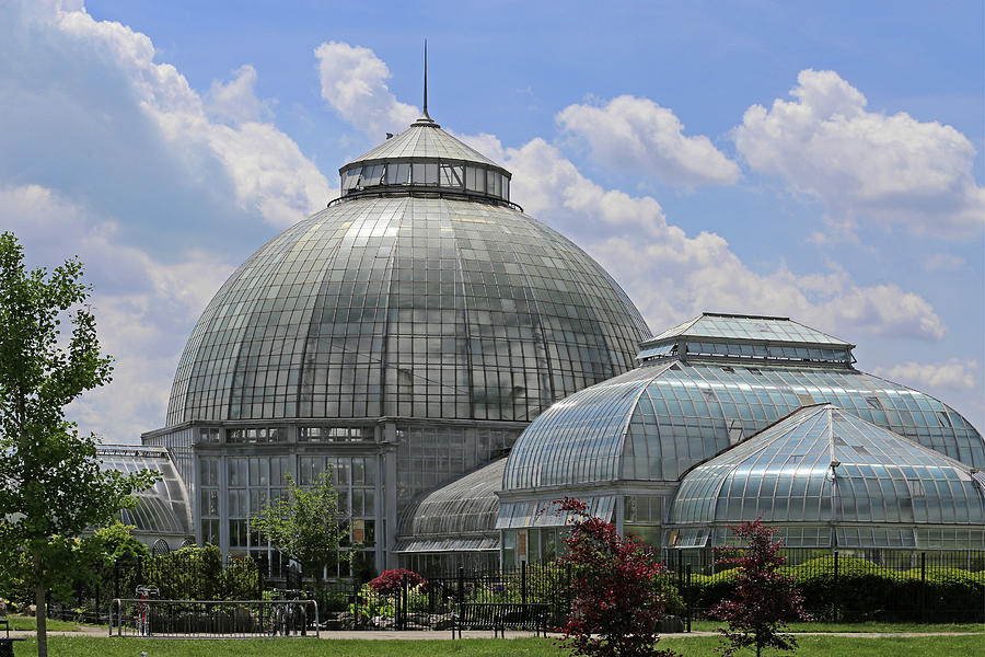Belle Isle Conservatory 2 Photograph by Mary Bedy