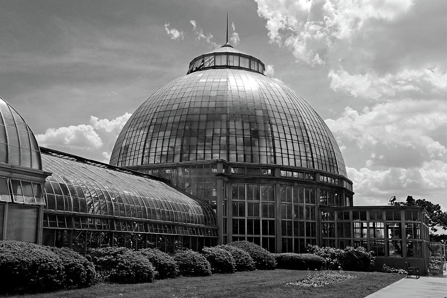 Belle Isle Conservatory 3 BW Photograph by Mary Bedy