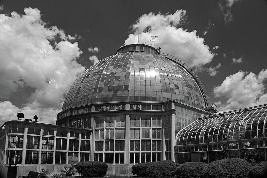 Belle Isle Conservatory 4 BW Photograph by Mary Bedy