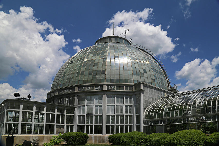 Belle Isle Conservatory 4 Photograph by Mary Bedy