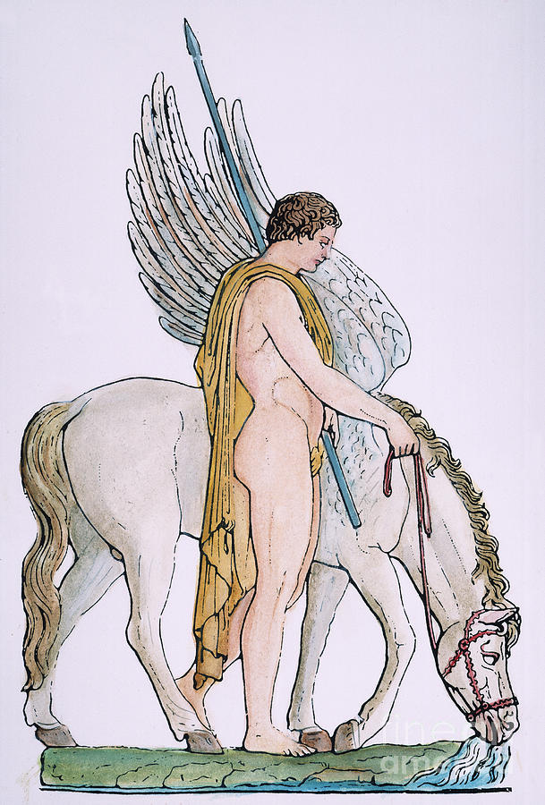Pegasus Photograph - Bellerophon & Pegasus by Granger