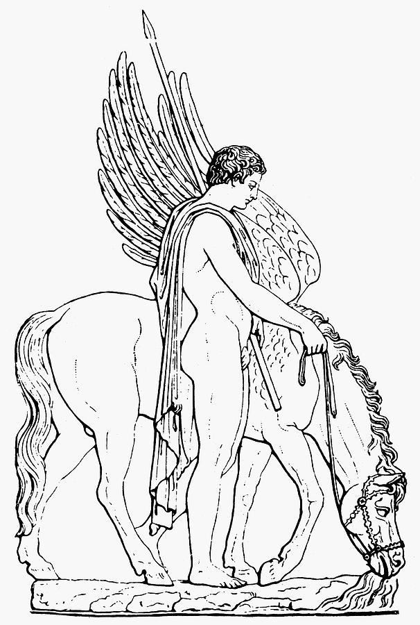 Bellerophon And Pegasus Photograph by Granger