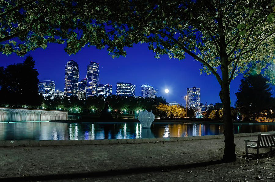 Bellevue Downtown Park at Night 1 Photograph by Wayne Bressler Pixels