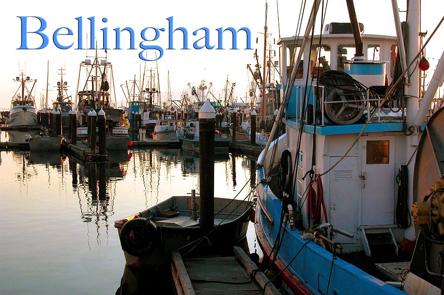 Bellingham fishing fleet Photograph by Craig Perry-Ollila