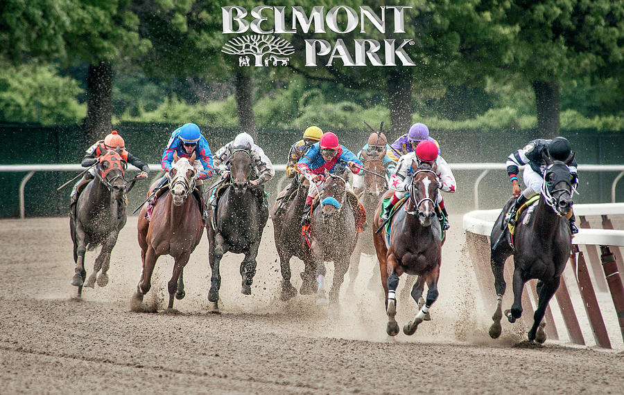 Belmont Race Track Photograph - Belmont Horse Race by Alida Thorpe