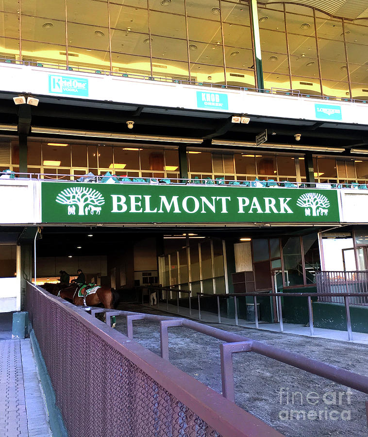 Horse Photograph - Belmont Park by CAC Graphics