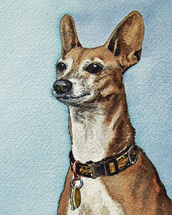 Beloved Dog Painting