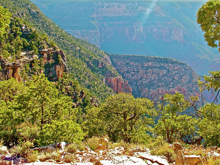 Below the Rim near Pima Point in Grand Canyon National Park-Arizona  Photograph by Ruth Hager