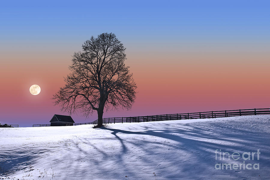 Long Winter Shadows Photograph by Larry Landolfi - Fine Art America