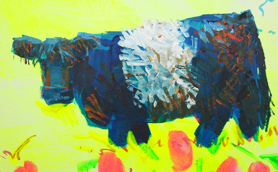 Belted Galloway Cow Looking At You Painting by Mike Jory
