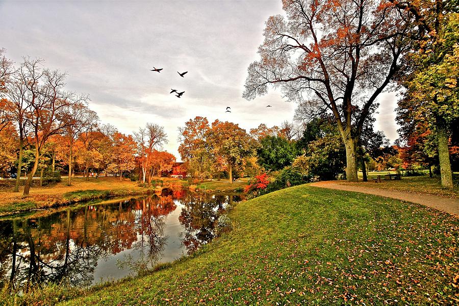 Belvidere park Photograph by John Prickett | Fine Art America