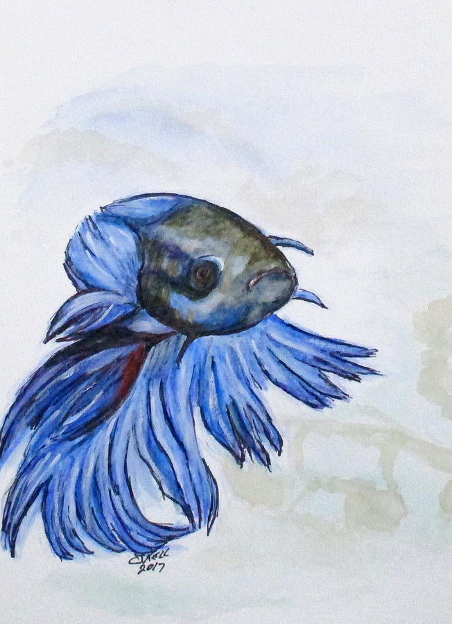 Ben Blue Betta Fish Painting by Clyde J Kell