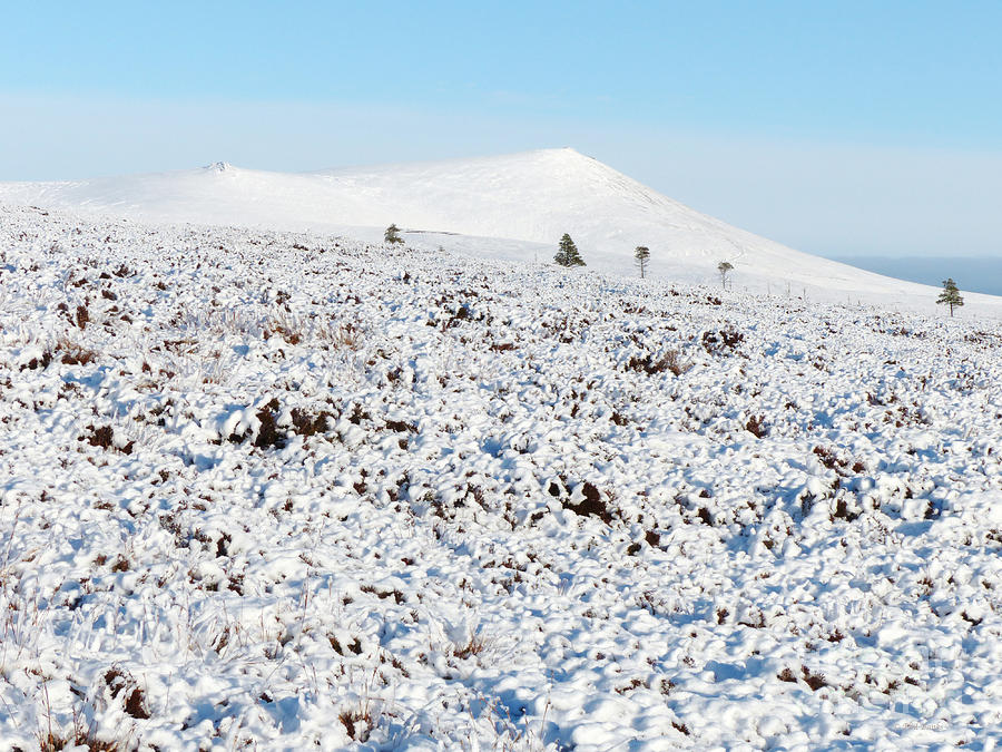 Ben Rinnes in winter Photograph by Phil Banks