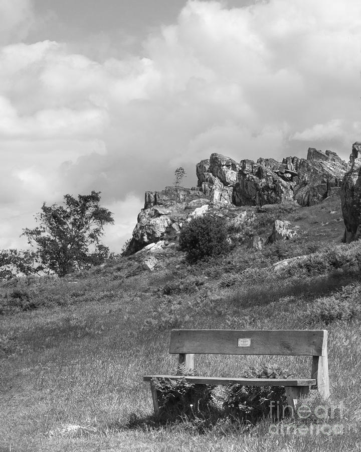Landmark Photograph - Bench At Beacon Hill Leicestershire by Linsey Williams