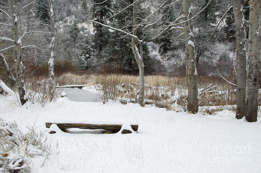 Bench at Beaver Pond Digital Art by Mellissa Ray