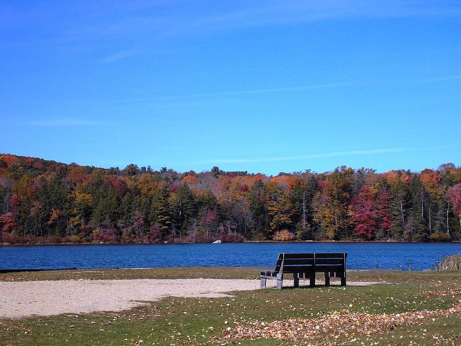 Bench at Burr Pond 1 Photograph by Nina Kindred