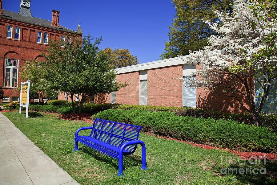 Bench at Johnson C Smith University Photograph by Jill Lang