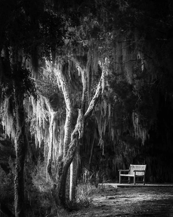 Bench At Sunset in Black and White Photograph by Greg and Chrystal Mimbs