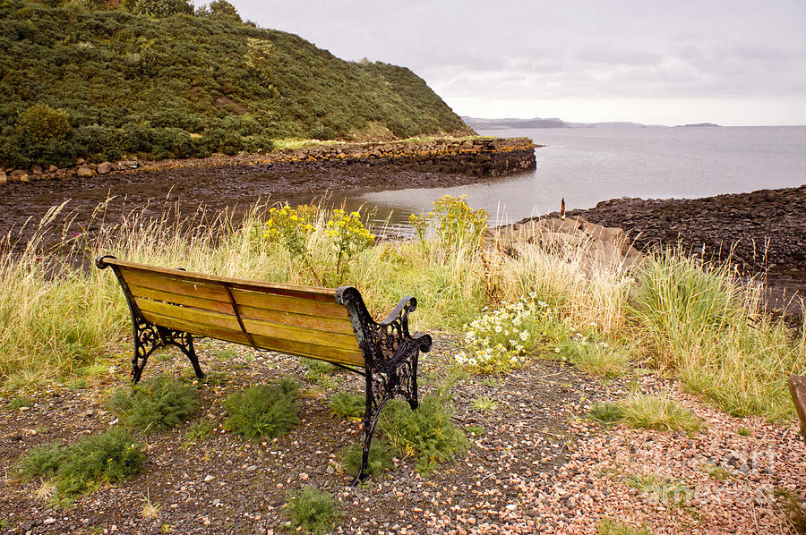Bench at the bay Photograph by Elena Perelman