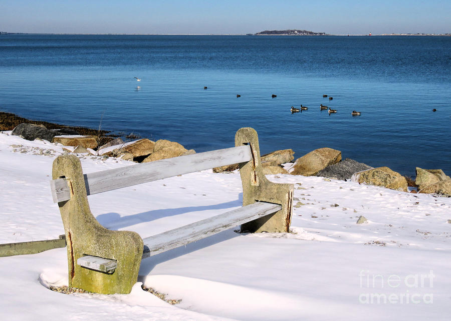 Bench by the Harbor  Photograph by Janice Drew