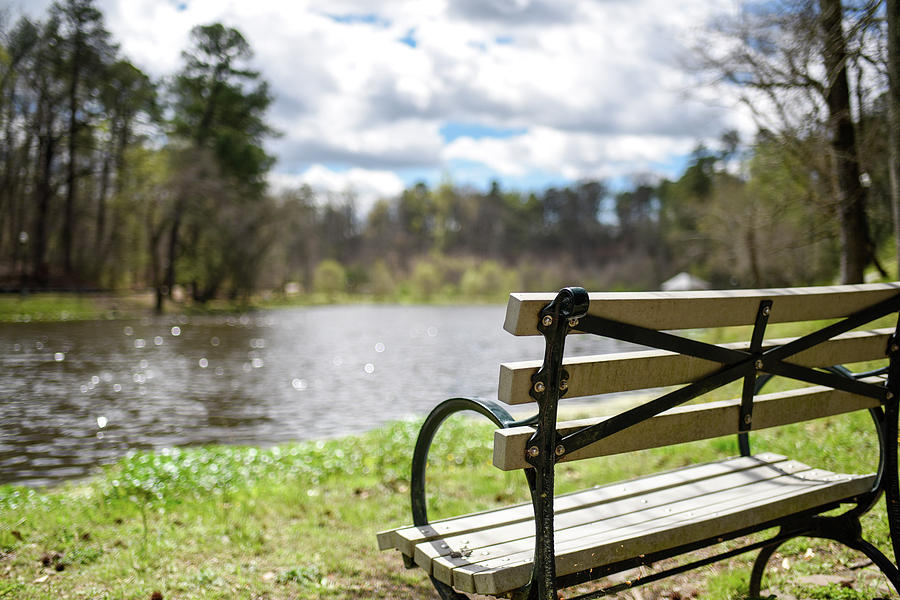 Richmond Photograph - Bench by the Pond by Doug Ash
