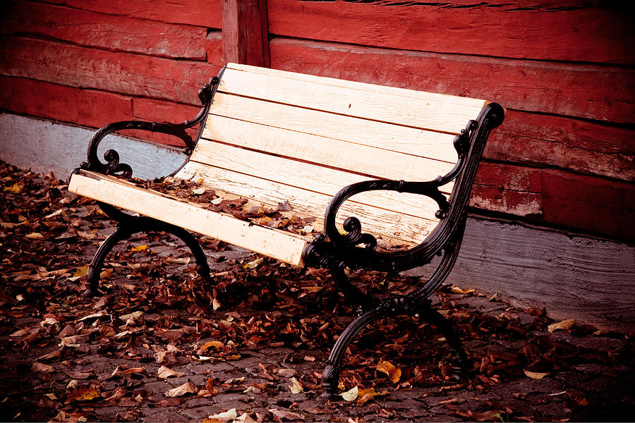 Bench by the Red Wall  Photograph by Maggie Terlecki