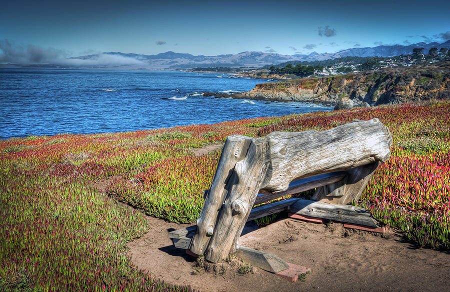 Cambria by the Sea Photograph by R Scott Duncan